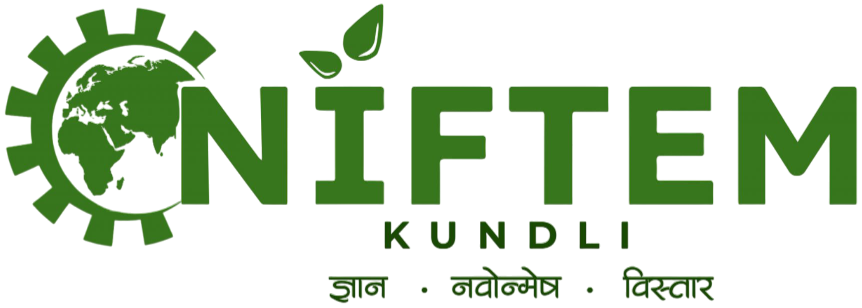 NIFTEM Logo